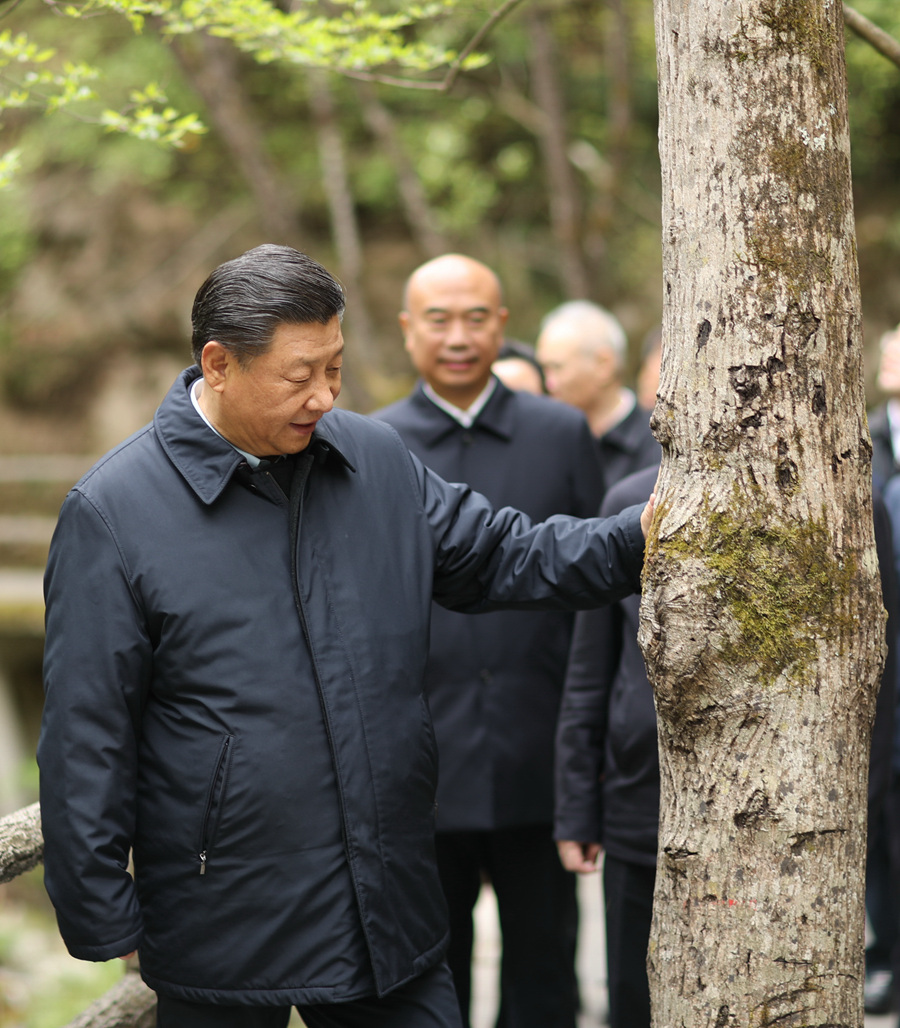 这是2020年4月20日,习近平总书记在位于陕西省商洛市柞水县的秦岭牛背梁国家级自然保护区,考察秦岭生态保护情况。